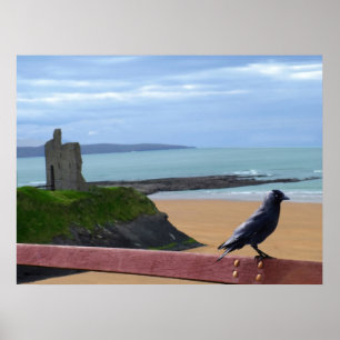 birds eye view poster