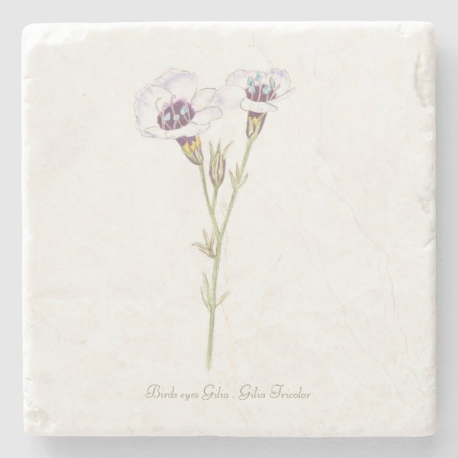Bird's Eyes Gilia watercolor  Stone Coaster (Front)