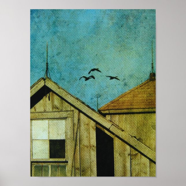 Birds Fly Over Poster (Front)