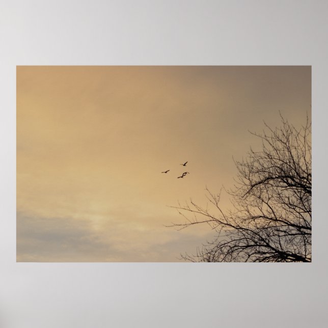 Birds flying at Sunset Poster (Front)
