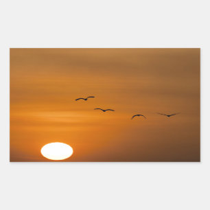 Birds flying in sunset rectangular sticker