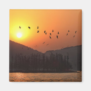 Birds Flying in Sunset Sky Over East Lake Photo Magnet