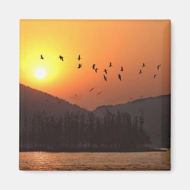 Birds Flying in Sunset Sky Over East Lake Photo Magnet (Front)