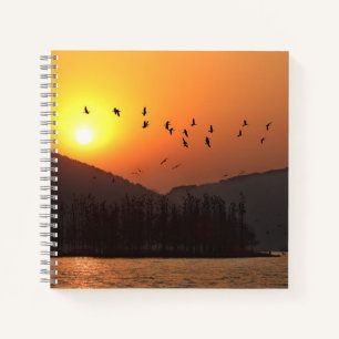 Birds Flying in Sunset Sky Over East Lake Photo Notebook