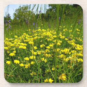 Birds-foot Trefoil Hard Plastic Coasters