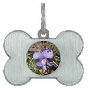 Birds-Foot Violet w/ Bluets Pet ID Tag