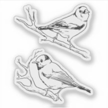 Birds hand drawn black & white Modern natural
