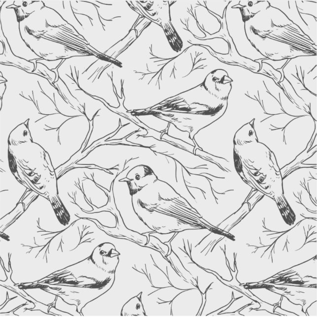 Birds hand drawn black & white pattern Modern (Front)