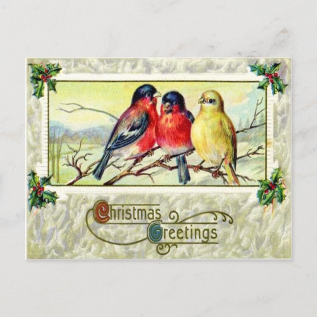 Birds & Holly Postcard (Front)