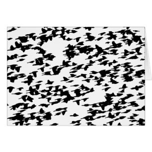 Birds in Flight