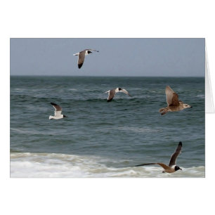 Birds In Flight by Shirley Taylor