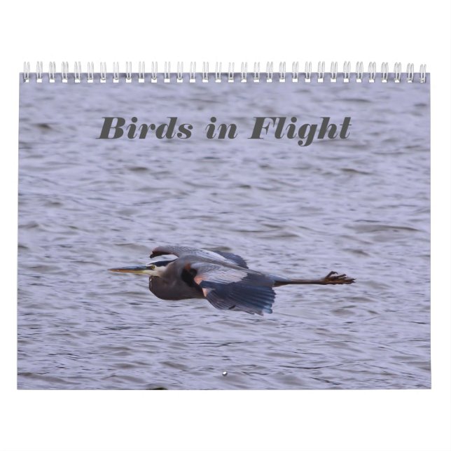 Birds in Flight Calendar (Cover)