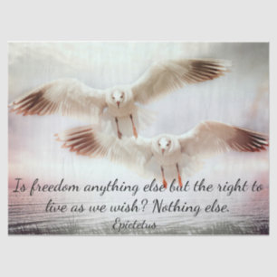 Birds in Flight Tissue Paper