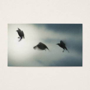 Birds In Motion