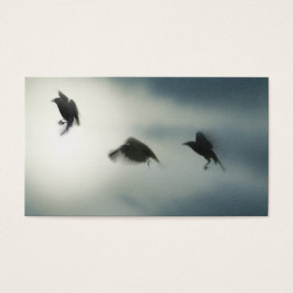 Birds In Motion