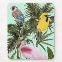 Birds in Paradise