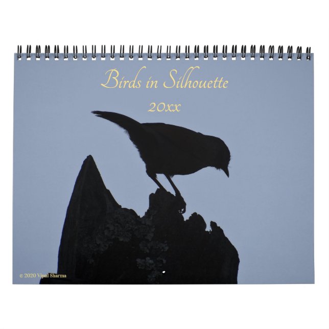 Birds in Silhouette Nature Photography 2026 Photo Calendar (Cover)