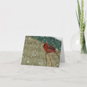 Birds in Snow Card