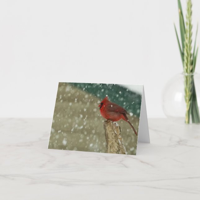 Birds in Snow Card (Front)