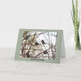 birds in the Bush greeting card