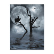 Birds in the night