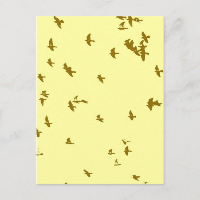 Birds in the Sky Postcard (Front)