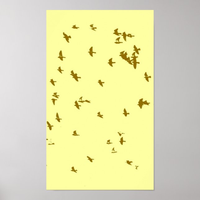 Birds in the Sky Poster (Front)