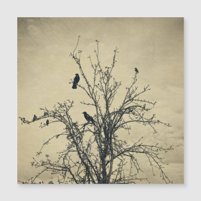Birds in the tree   -     (Front)
