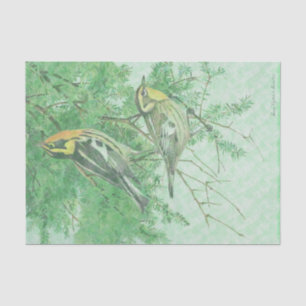 Birds in Tree Boughs Tissue Paper