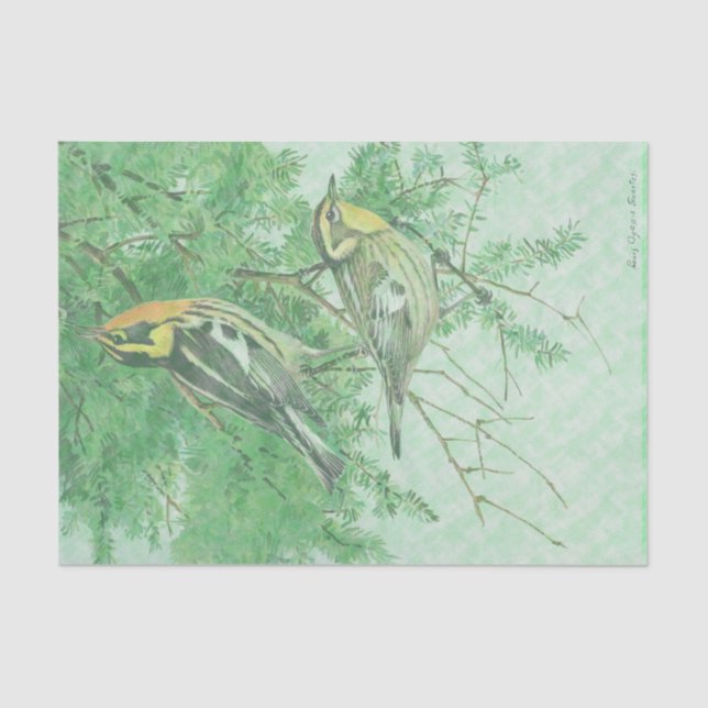 Birds in Tree Boughs Tissue Paper (Front)