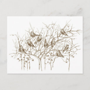 Birds in Tree Sepia Pen and Ink Sketch Postcard