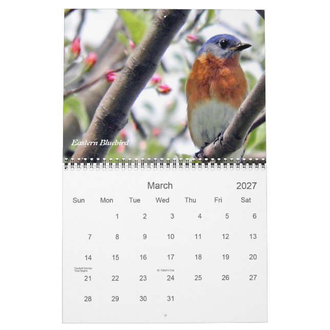 Birds in Your Backyard Photography Calendar (Mar 2027)
