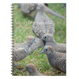 Birds Kauai (my photography) Notebook
