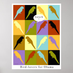 Birds love Obama poster