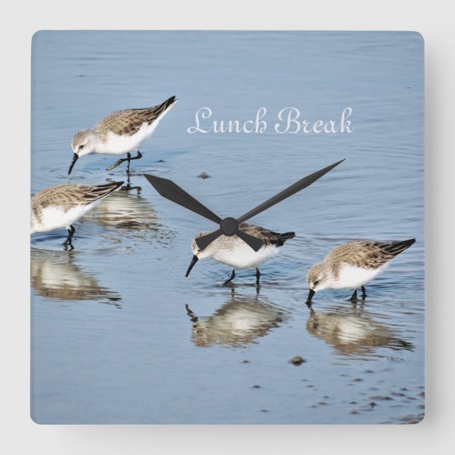Birds "Lunch Break" Square Wall Clock (Front)