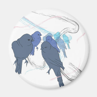 birds magnet