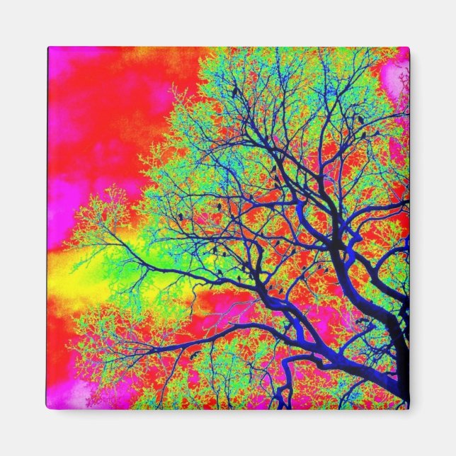 Birds Magnet (Front)