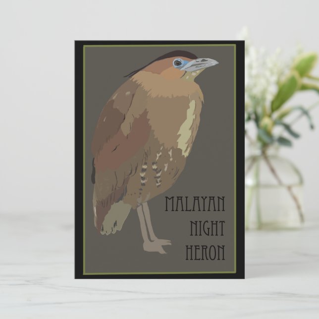 Birds - Malayan Night Heron Card (Standing Front)