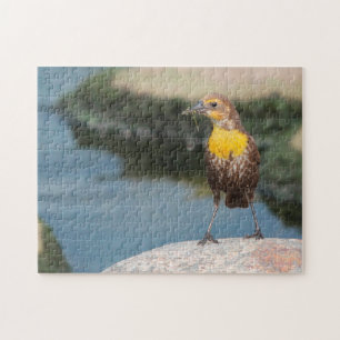 Birds Meadow Lark. Jigsaw Puzzle