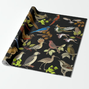 Birds & More Birds Wrapping Paper