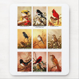 Birds Mouse Pad