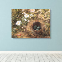 Bird's Nest and Dog Roses by John William Hill