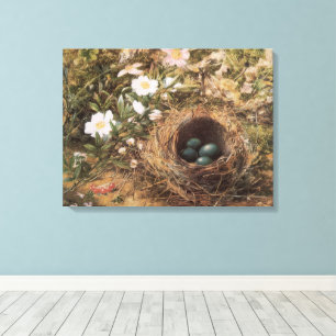 Bird's Nest and Dog Roses by John William Hill Canvas Print