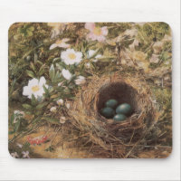 Bird's Nest and Dog Roses by John William Hill