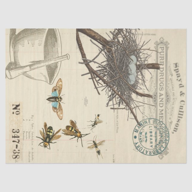 Birds Nest Bee Apothecary Decoupage Tissue Paper (Front)