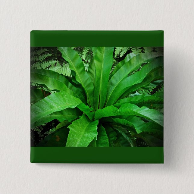 Bird's Nest Fern 15 Cm Square Badge (Front)