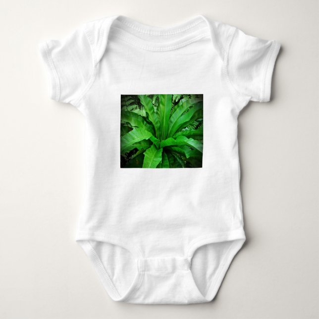Bird's Nest Fern Baby Bodysuit (Front)