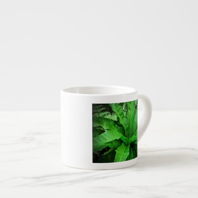 Bird's Nest Fern Espresso Cup (Front Right)