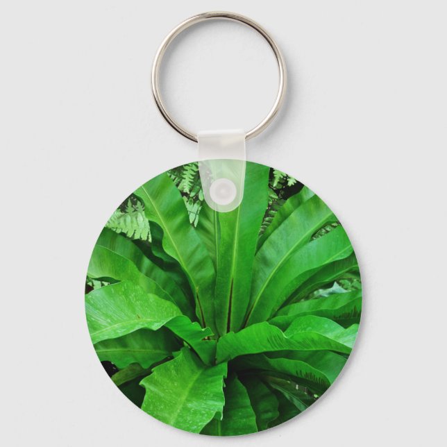 Bird's Nest Fern Key Ring (Front)