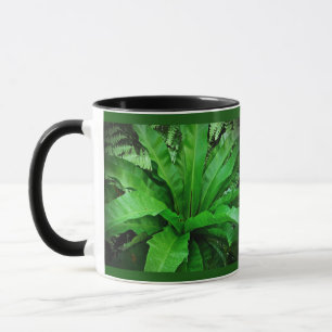 Bird's Nest Fern Mug